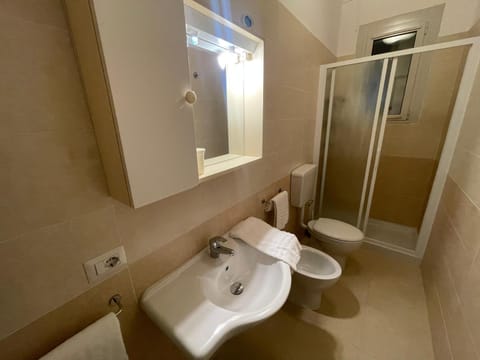 Shower, Toilet, Bathroom, bidet