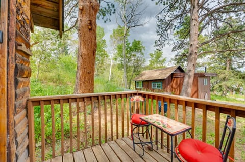 Minnehaha Allenspark Cabin Near Hiking! Cabin in Allenspark