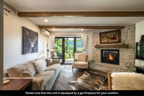 TV and multimedia, Living room, Seating area, fireplace