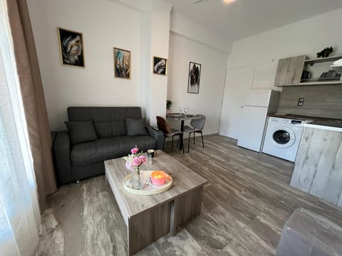 TV and multimedia, Kitchen or kitchenette, Living room, Seating area, Dining area, washing machine