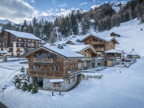 Chalet pour 11 pers. avec jacuzzi et animaux acceptés - FR-1-181-2792 Chalet in Mâcot-la-Plagne