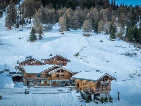 Luxueux chalet 7 chambres avec jacuzzi et sauna, proche télésiège - FR-1-181-2793 Chalet in Mâcot-la-Plagne