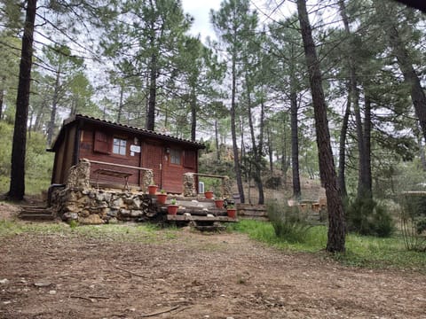 Property building, Natural landscape, Garden