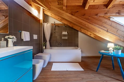 Bathroom, Photo of the whole room, Decorative detail, Bath, bidet, hair dryier, towels