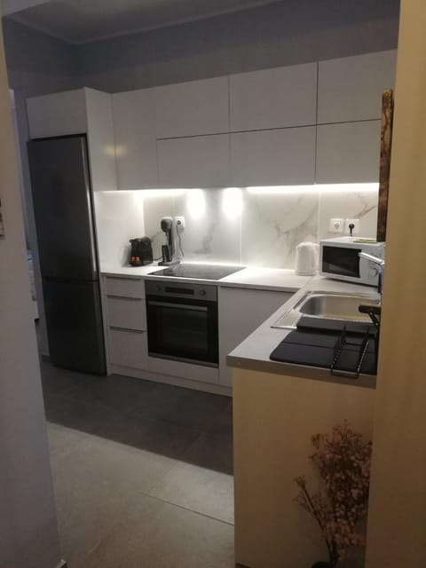 Coffee/tea facilities, Kitchen or kitchenette, minibar, stove