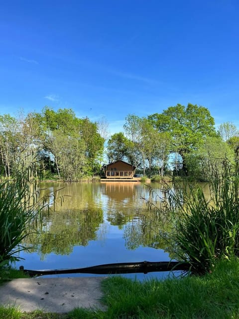 Property building, Natural landscape, Lake view