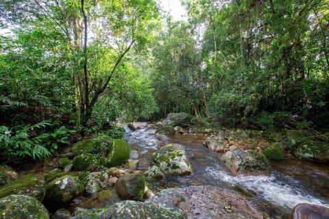 River view