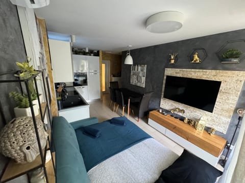 Bed, TV and multimedia