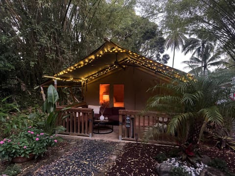 Property building, Garden view