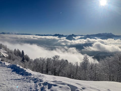 Nearby landmark, Winter