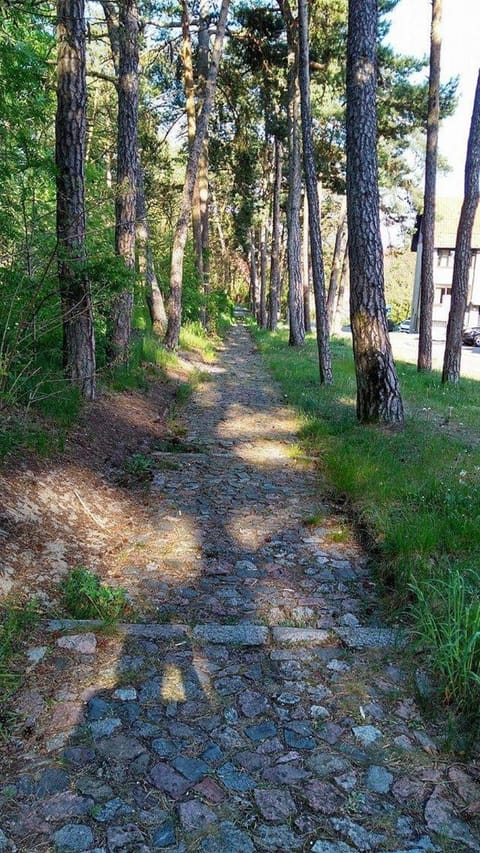 Apartamentai Nidoje Apartment in Klaipėda County, Lithuania