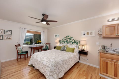 Bed, Kitchen or kitchenette, Photo of the whole room, Bedroom, fireplace
