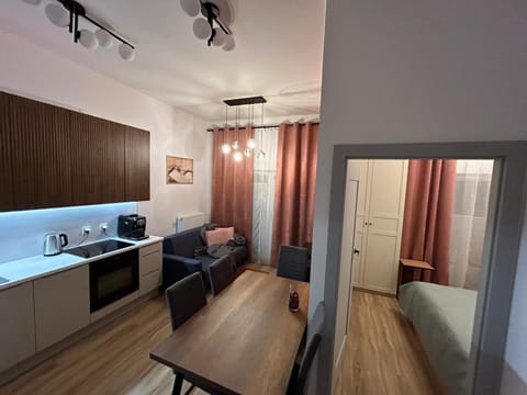 Kitchen or kitchenette, Living room, Photo of the whole room, pet friendly, stove