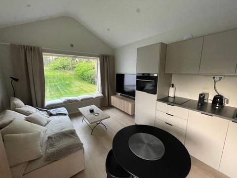 Bed, TV and multimedia, Kitchen or kitchenette, Seating area, Dining area