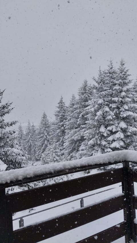 Vila Tea Durmitor Chalet in Montenegro