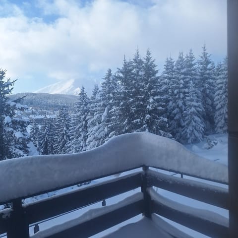 Vila Tea Durmitor Chalet in Montenegro