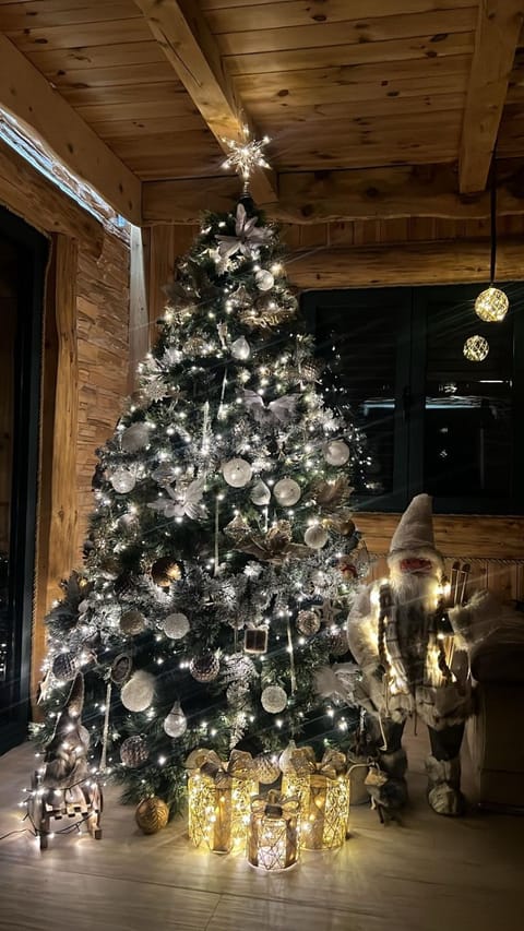 Vila Tea Durmitor Chalet in Montenegro