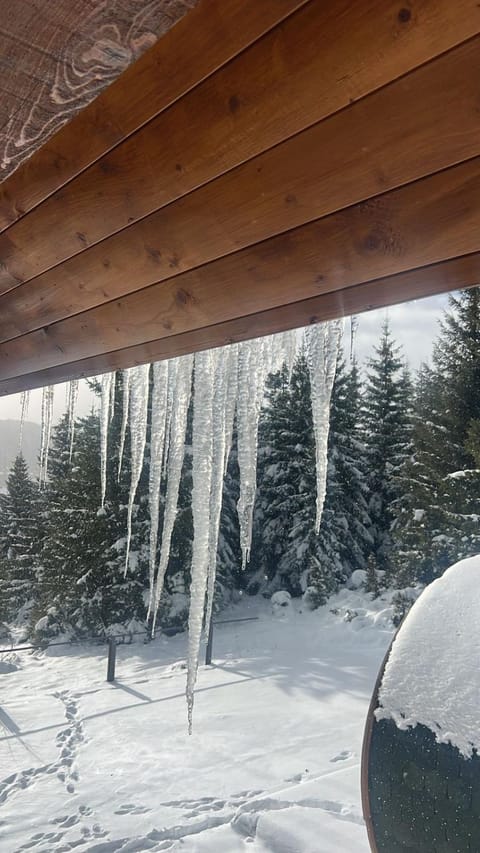 Vila Tea Durmitor Chalet in Montenegro