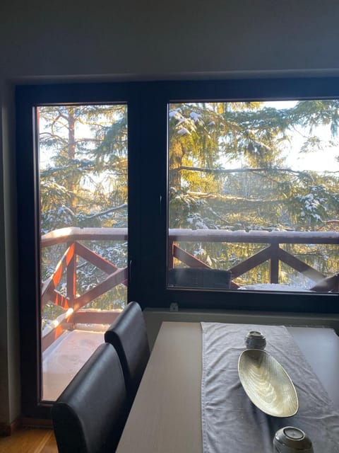 Apartman Bianca Apartment in Zlatibor