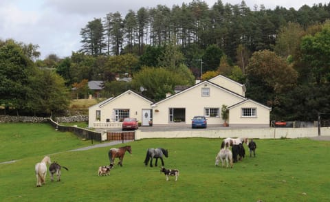 Property building, Day, Animals