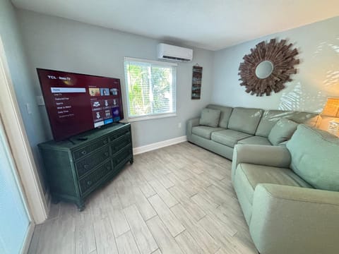 TV and multimedia, Living room, Seating area, air conditioner