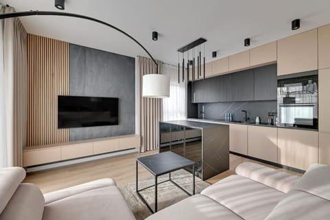 TV and multimedia, Kitchen or kitchenette, Living room, Photo of the whole room, Seating area, minibar, pet friendly, stove