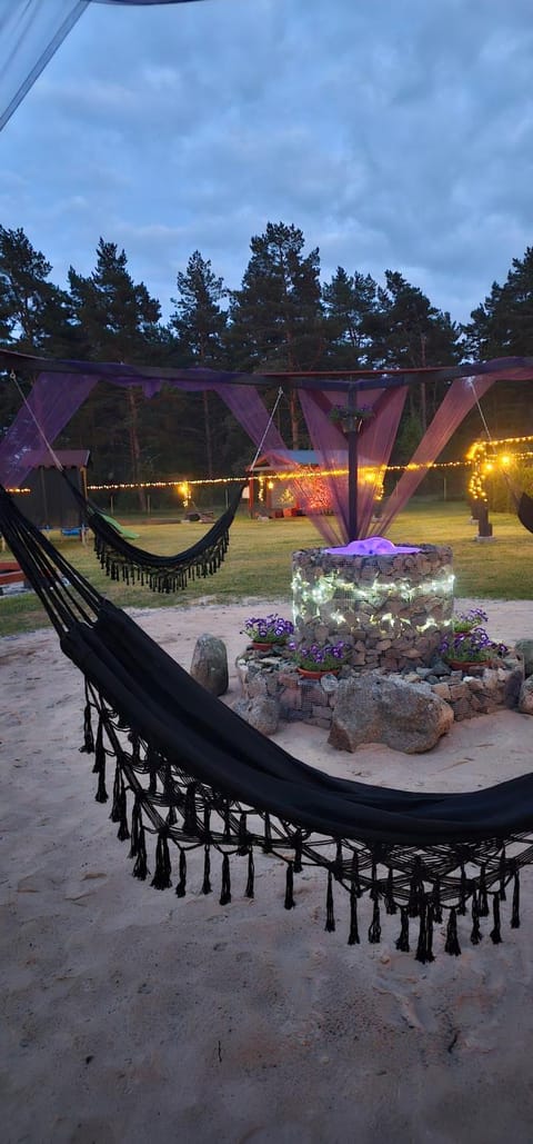 Night, Garden, Garden view
