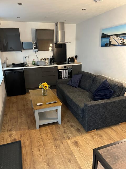 Aberystwyth maisonette flat Apartment in Aberystwyth