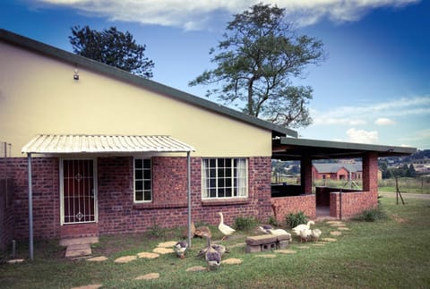 Property building, Spring, Day, Garden, Garden view