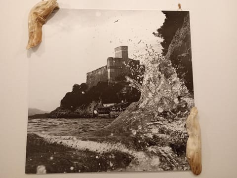 Appartamento il legno di mare Apartment in La Spezia