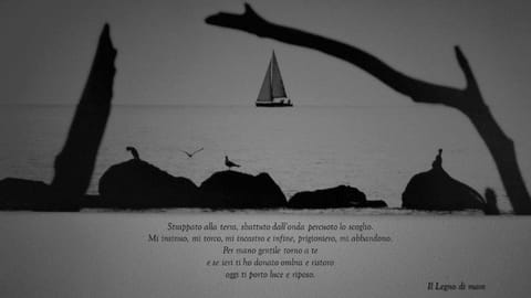 Appartamento il legno di mare Apartment in La Spezia