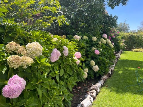 Luxery Gem in Stellenbosch Apartment in Stellenbosch
