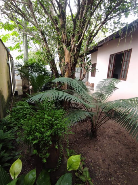 Property building, Garden, Garden view