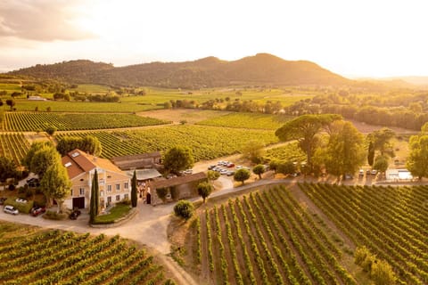 Bird's eye view, Sunset