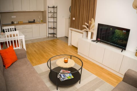 Apartment Infinity Apartment in Serbia