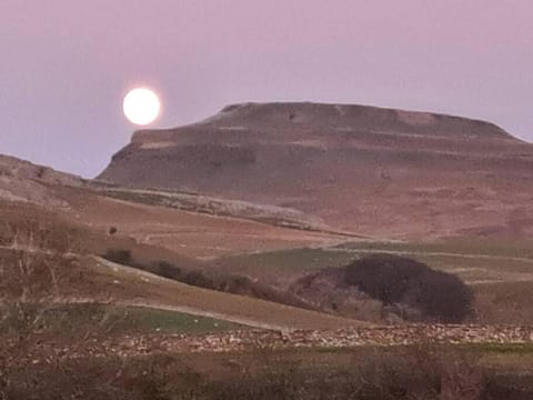 Robins Nest Apartment in Craven District