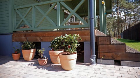 Zielony domek Drzewoszewo House in West Pomeranian Voivodeship, Poland