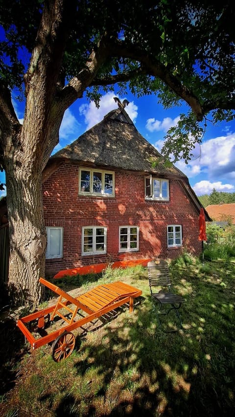 Property building, Spring, Garden, Garden view