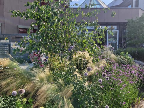 Boardinghouse Steinen Apartment in Lörrach