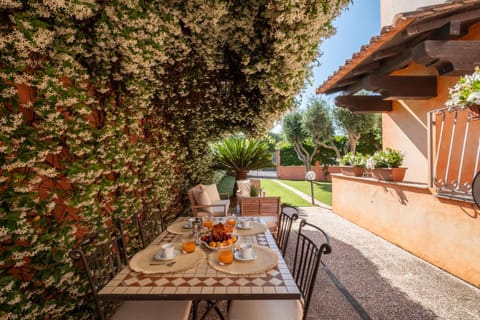 Spring, Garden, Dining area