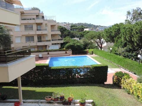 Pool view, Swimming pool, sunbed