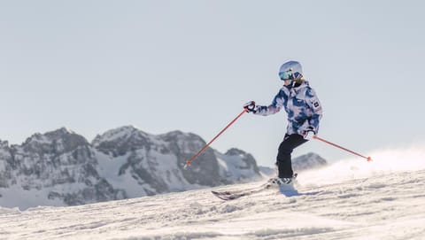 Hotel Coutettaz Chalet in Montriond