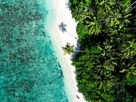 Natural landscape, Beach