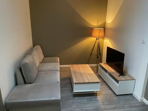 Authentique et calme hypercentre Wifi Netflix Apartment in Saint-Étienne