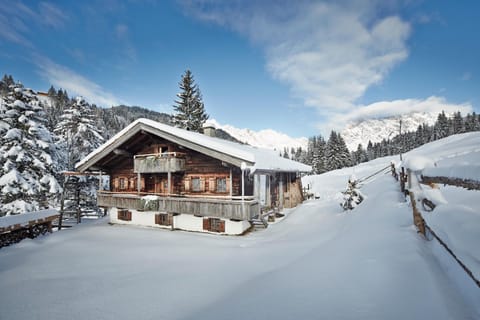 Auhäuslalm Chalet in Salzburgerland