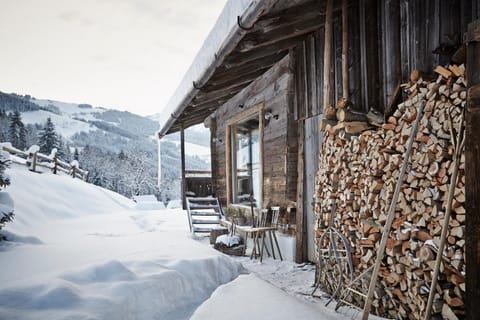 Auhäuslalm Chalet in Salzburgerland
