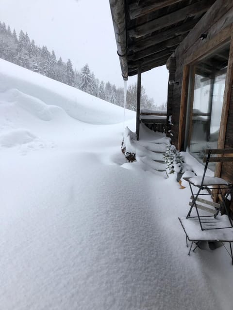 Auhäuslalm Chalet in Salzburgerland