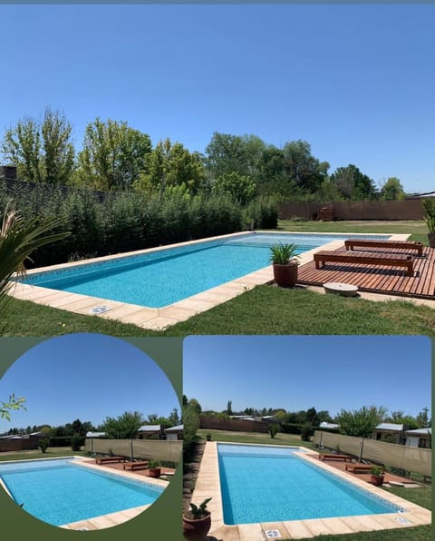 Day, Garden, Garden view, Pool view, Swimming pool, sunbed