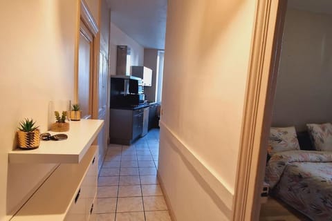 Appartement cosy proche de toutes commodités Apartment in Clermont-Ferrand