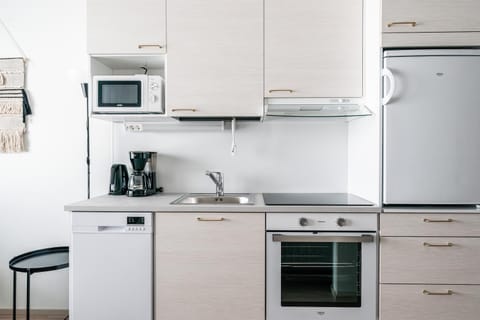 Kitchen or kitchenette, dishwasher, oven